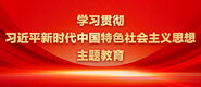 美女操网站学习贯彻习近平新时代中国特色社会主义思想主题教育_fororder_ad-371X160(2)